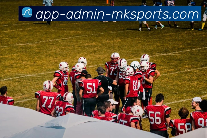 多媒体互动体验